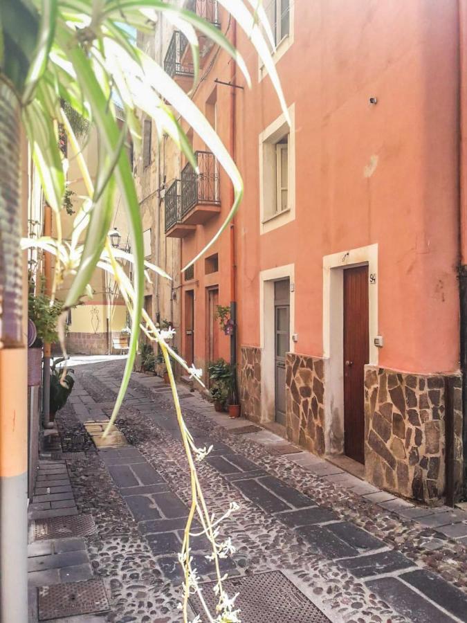 فندق بوسافي  Casa Graci المظهر الخارجي الصورة